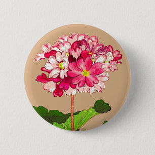 Japanse hydrangea. Roze en groen Ronde Button 5,7 Cm