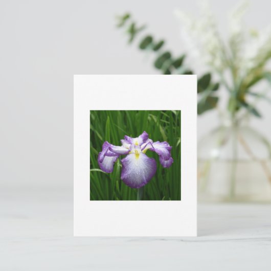 Japanse Iris Briefkaart (Staand voorkant)