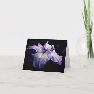 Japanse Iris Schoonheid Bloem Fotografie Notitie Kaart