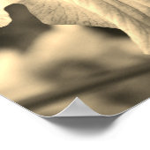 Japanse Iris-ventilator sluit Sepia Tint af Poster (Hoek)