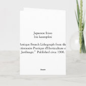 Japanse Irissen - Iris Kaempferi - Wenskaart Kaart (Achterkant)