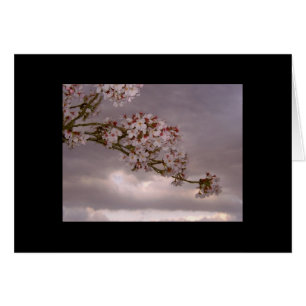 Japanse kaart Cherry Blossom