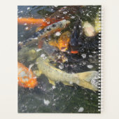 Japanse karp Koi Vis die goed zwemt Planner (Achterkant)