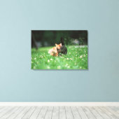 Japanse kat 4 canvas afdruk (Insitu (Houten vloer))