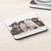 Japanse kat bier onderzetter (Linkerzijde)