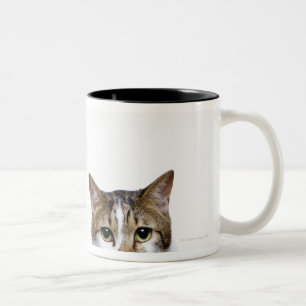 Japanse kat en Manx-kat op witte achtergrond Tweekleurige Koffiemok