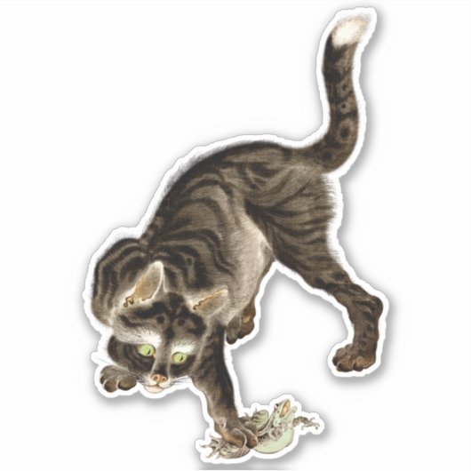 Japanse kat vangen een kikker sticker (Voorkant)