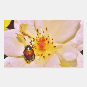 Japanse keet op witte roze rechthoekige sticker