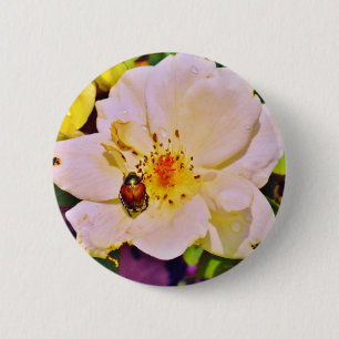 Japanse keet op witte roze ronde button 5,7 cm