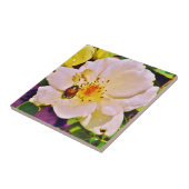 Japanse keet op witte roze tegeltje (Zijkant)