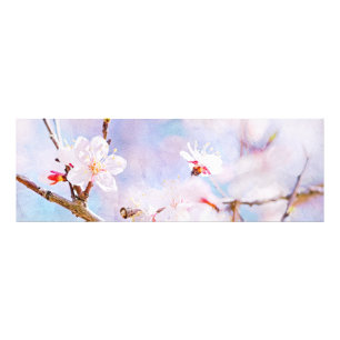 Japanse Kers - Sakura in Bloei Foto Afdruk