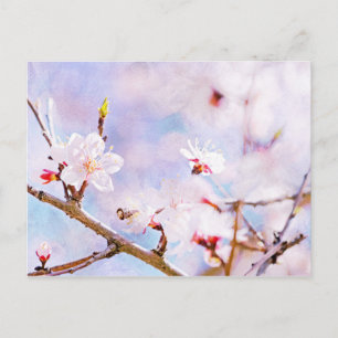 Japanse kers - Sakura in Bloom Briefkaart