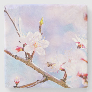 Japanse kers - Sakura in Bloom Stenen Onderzetter