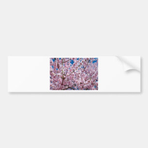 Japanse kersenbloem bumpersticker
