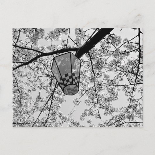 Japanse Kersenbloesem en Lantaarn Briefkaart (Voorkant)