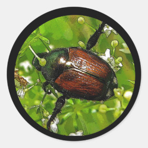 Japanse kever insect Sticker