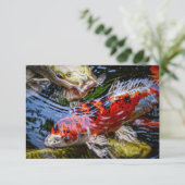 Japanse Koi Fish Pond Bedankkaart (Staand voorkant)