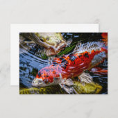 Japanse Koi Fish Pond Bedankkaart (Voorkant / Achterkant)