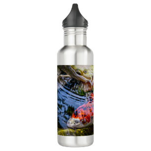 Japanse Koi Fish Pond Waterfles