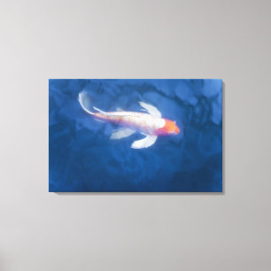 Japanse koivissen in vijver, hooghoekig uitzicht canvas afdruk