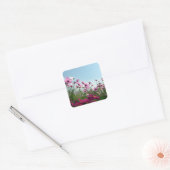 Japanse kosmos Flowers Vierkante Sticker (Envelop)