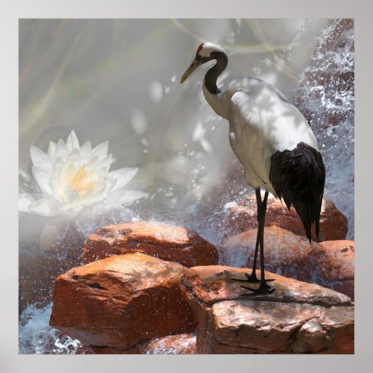 Japanse kraan "Langlevendigheid" Poster (Voorkant)
