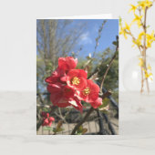 Japanse kwekerij in de Park Kaart (Gele Bloem)