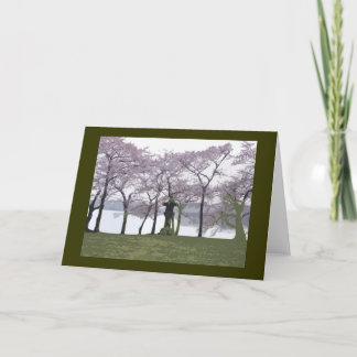 Japanse Lantaarn bij het Washington DC van het Kaart