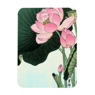 Japanse Lotus Flower -  Fine Art Magnet Magneet