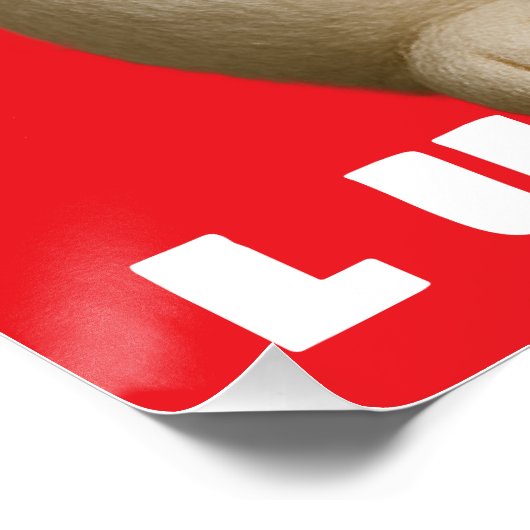 Japanse Lucky Cat Charm Perfect Poster (Hoek)