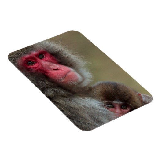 Japanse Macaque Apen Flexibele Magneet (Rechterzijde)
