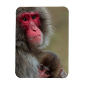 Japanse Macaque Apen Flexibele Magneet (Verticaal)