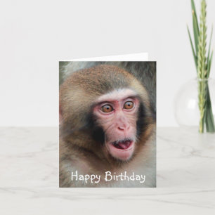 Japanse Macaque Monkey Birthday Card Kaart