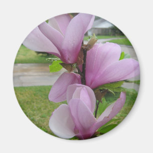 Japanse Magnolia Magneet