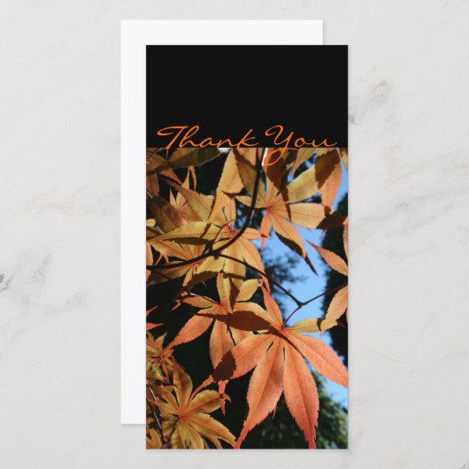 Japanse Maple 2a Dank u wel Fotokaart Bedankkaart (Voorkant / Achterkant)