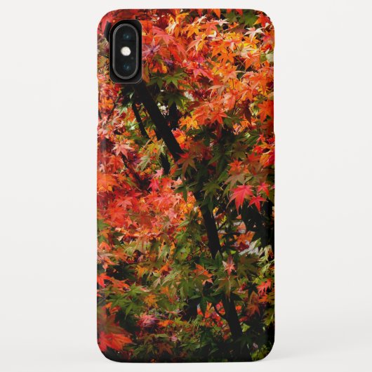 Japanse Maple in Herfst Case-Mate iPhone Case (Achterkant)