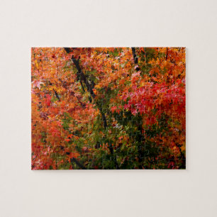 Japanse Maple in Herfst Legpuzzel