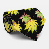 Japanse Maple op een Stropdas (Opgerold)