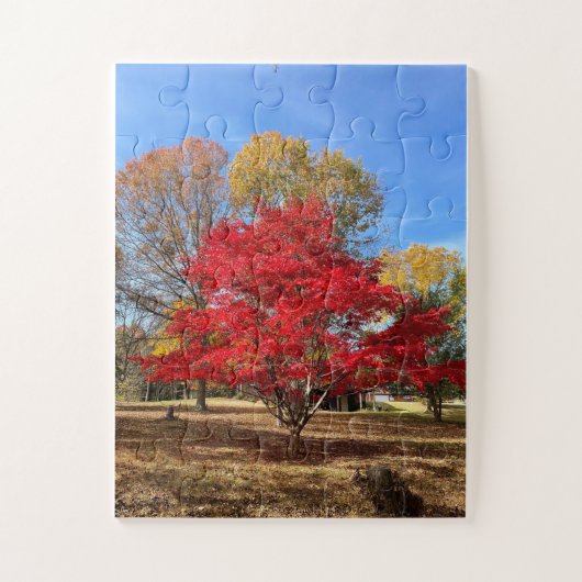Japanse mappelboom Puzzle Legpuzzel (Verticaal)