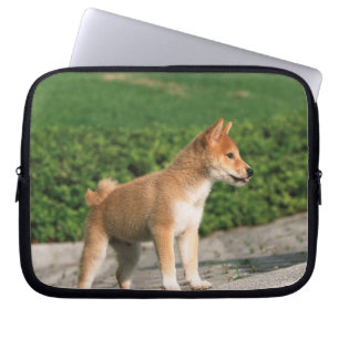 Japanse Midget Shiba 2 Laptop Sleeve