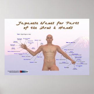Japanse namen voor delen van de armen en handen poster
