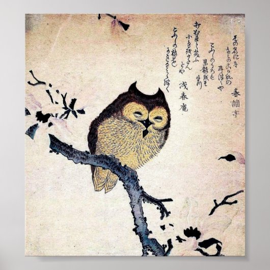 Japanse Owl Print Poster (Voorkant)