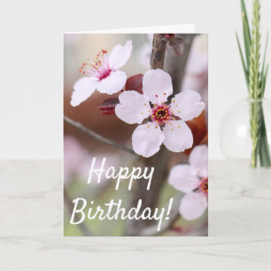 Japanse plum Flowers Birthday Card Kaart