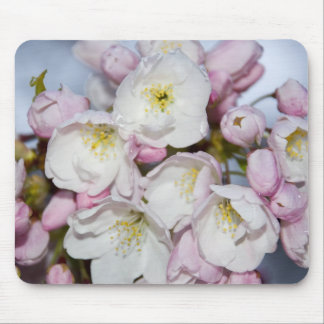 Japanse plum Mousepad Muismat