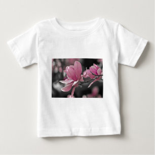 Japanse roze Saucer Magnolia