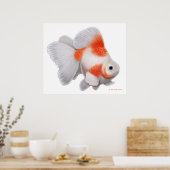 Japanse Ryukin Fantail Goldfish print (Keuken)