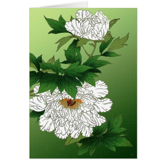  Japanse schets van grote witte pony (Voorkant)