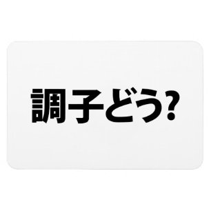 Japanse Slang Wat is er 調子ど う? Choushi Dou Magneet