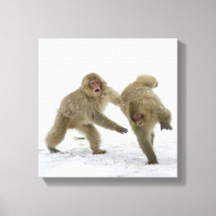 Japanse sneeuwpoppen op sneeuw canvas afdruk