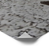 Japanse Solaris Poster (Hoek)